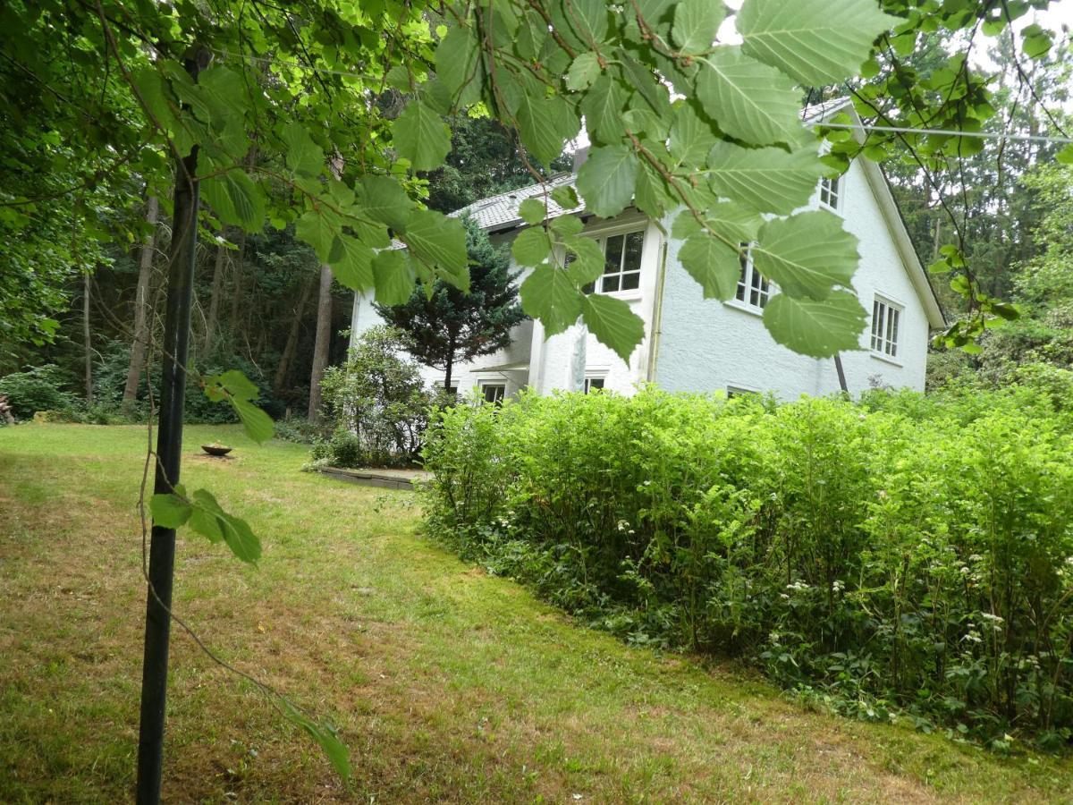Ferienwohnung Niemann In Lutterloh Unterluss Kültér fotó